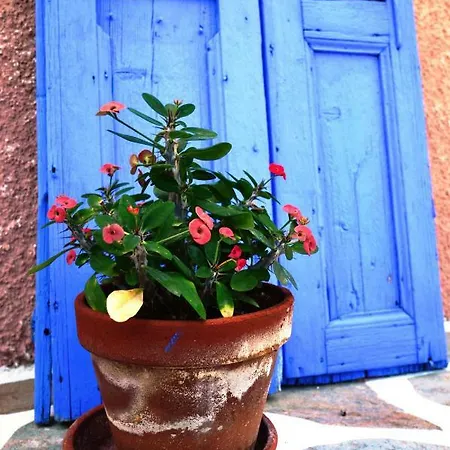 Vagia Apartments, Aegina Island Aparthotel